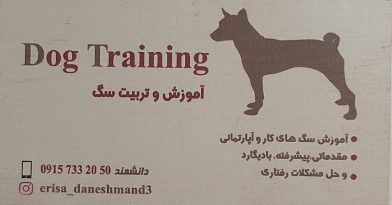 هزینه تربیت سگ در مشهد